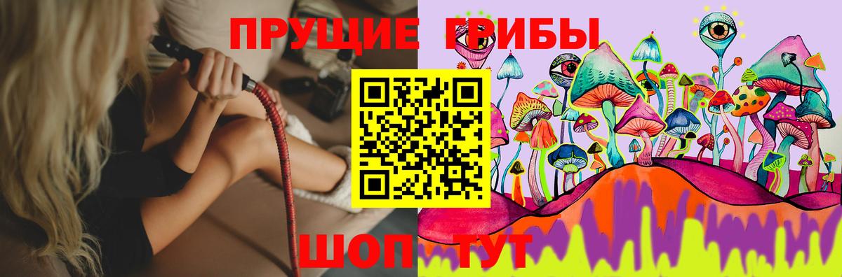 Псилоцибиновые грибы мицелий Югорск