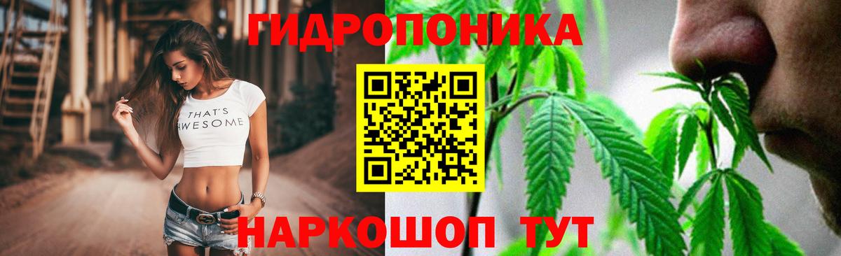 Шишки марихуана OG Kush Югорск